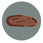 Irritable Bowel Syndrome -4